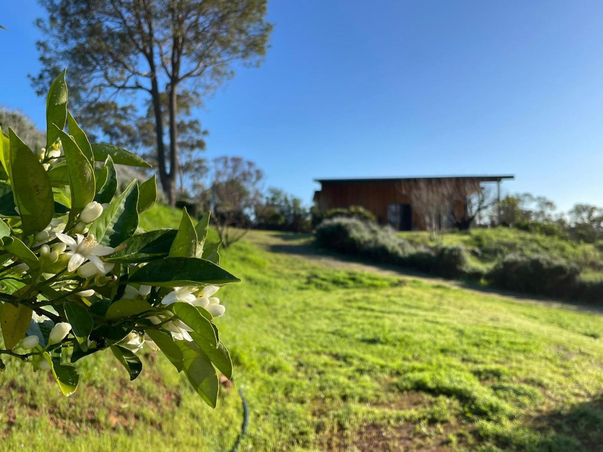 Rosie'S Cottage Bindoon Mooliabeenee 外观 照片