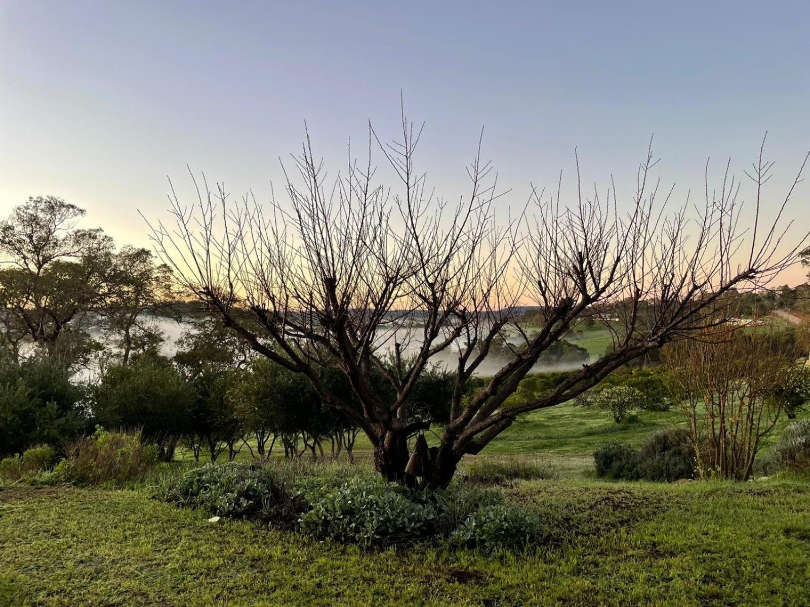 Rosie'S Cottage Bindoon Mooliabeenee 外观 照片